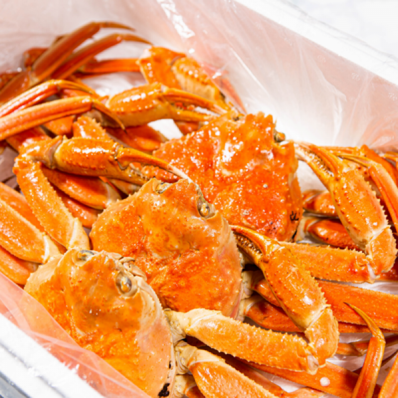 러시아대게, 대게, 자숙대게, 선어대게, 대게찜, 선어, 킹크랩, 러시아킹크랩, 홍게, 마가단, 프리모리, 활대게, 라이브대게, 대게택배, 킹크랩, 레드킹크랩, 블루킹크랩, 브라운킹크랩, 활 킹크랩, 선어킹크랩, 킹크랩자숙, 킹크랩찜, 브라운크랩, 수산물, 해산물, 홍게택배, 건어물, 가자미세꼬시, 세꼬시회, 미주구리, 임연수, 이면수, 대구, 생대구, 코다리, 양미리, 동해대게, 동해러시아대게, 오징어입, 맥주안주, 동해항씨푸드