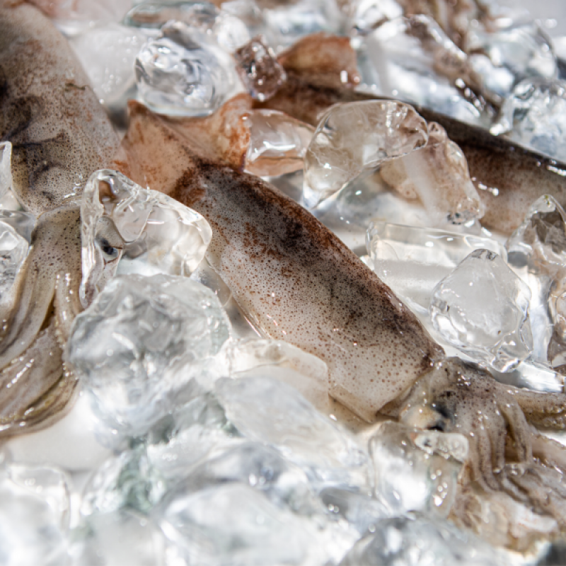 러시아대게, 대게, 자숙대게, 선어대게, 대게찜, 선어, 킹크랩, 러시아킹크랩, 홍게, 마가단, 프리모리, 활대게, 라이브대게, 대게택배, 킹크랩, 레드킹크랩, 블루킹크랩, 브라운킹크랩, 활 킹크랩, 선어킹크랩, 킹크랩자숙, 킹크랩찜, 브라운크랩, 수산물, 해산물, 홍게택배, 건어물, 가자미세꼬시, 세꼬시회, 미주구리, 임연수, 이면수, 대구, 생대구, 코다리, 양미리, 동해대게, 동해러시아대게, 오징어입, 맥주안주, 동해항씨푸드