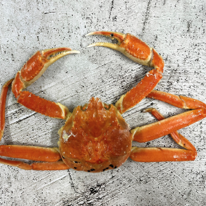 (못난이상품) 가성비 절지 B급 러시아대게 3kg 내외