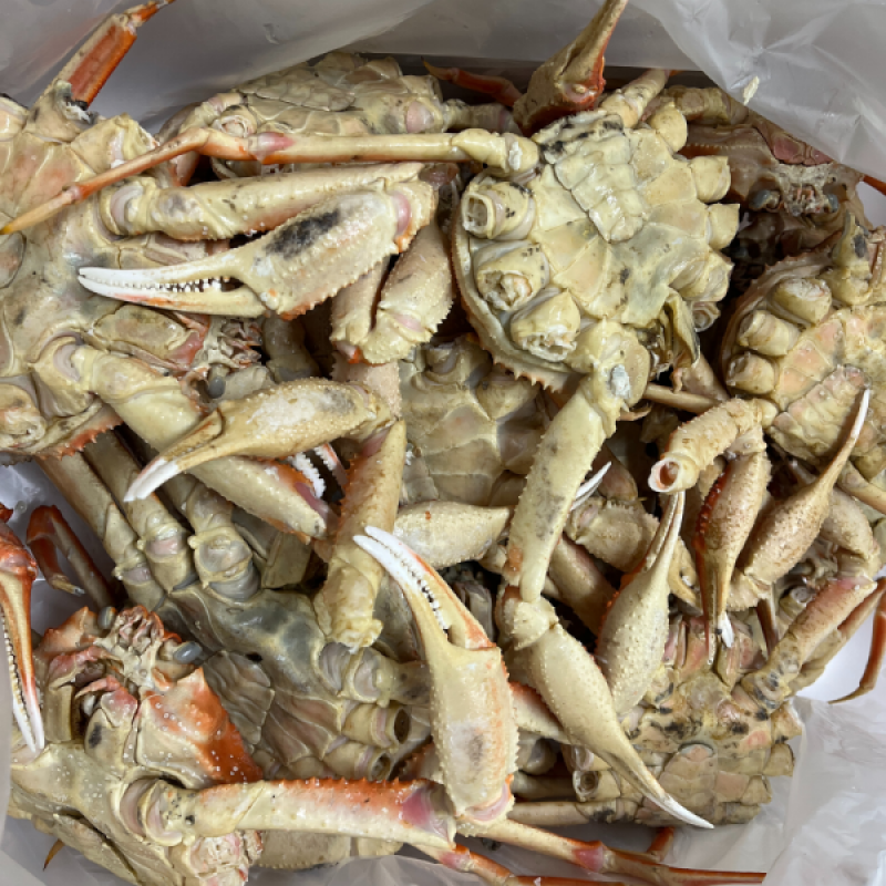 러시아대게, 대게, 자숙대게, 선어대게, 대게찜, 선어, 킹크랩, 러시아킹크랩, 홍게, 마가단, 프리모리, 활대게, 라이브대게, 대게택배, 킹크랩, 레드킹크랩, 블루킹크랩, 브라운킹크랩, 활 킹크랩, 선어킹크랩, 킹크랩자숙, 킹크랩찜, 브라운크랩, 수산물, 해산물, 홍게택배, 건어물, 가자미세꼬시, 세꼬시회, 미주구리, 임연수, 이면수, 대구, 생대구, 코다리, 양미리, 동해대게, 동해러시아대게, 오징어입, 맥주안주, 동해항씨푸드