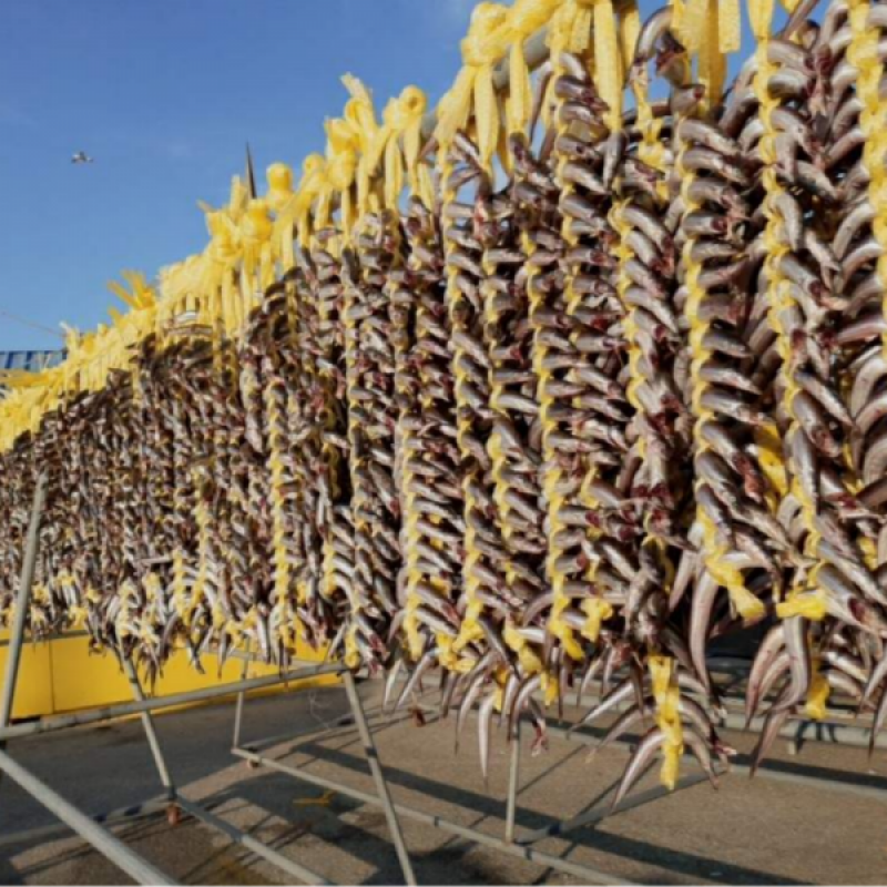 러시아대게, 대게, 자숙대게, 선어대게, 대게찜, 선어, 킹크랩, 러시아킹크랩, 홍게, 마가단, 프리모리, 활대게, 라이브대게, 대게택배, 킹크랩, 레드킹크랩, 블루킹크랩, 브라운킹크랩, 활 킹크랩, 선어킹크랩, 킹크랩자숙, 킹크랩찜, 브라운크랩, 수산물, 해산물, 홍게택배, 건어물, 가자미세꼬시, 세꼬시회, 미주구리, 임연수, 이면수, 대구, 생대구, 코다리, 양미리, 동해대게, 동해러시아대게, 오징어입, 맥주안주, 동해항씨푸드