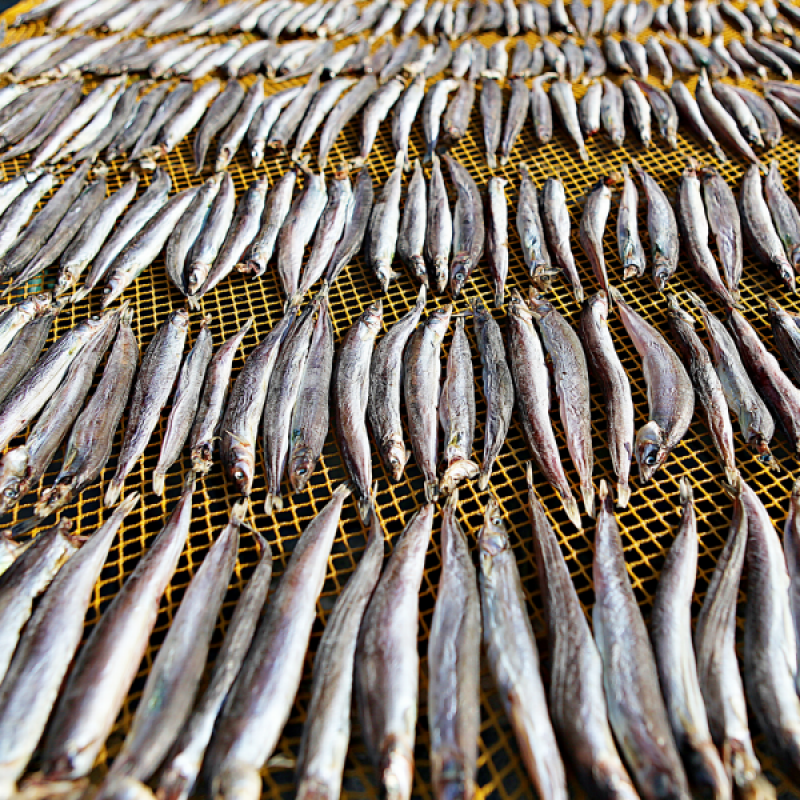 러시아대게, 대게, 자숙대게, 선어대게, 대게찜, 선어, 킹크랩, 러시아킹크랩, 홍게, 마가단, 프리모리, 활대게, 라이브대게, 대게택배, 킹크랩, 레드킹크랩, 블루킹크랩, 브라운킹크랩, 활 킹크랩, 선어킹크랩, 킹크랩자숙, 킹크랩찜, 브라운크랩, 수산물, 해산물, 홍게택배, 건어물, 가자미세꼬시, 세꼬시회, 미주구리, 임연수, 이면수, 대구, 생대구, 코다리, 양미리, 동해대게, 동해러시아대게, 오징어입, 맥주안주, 동해항씨푸드